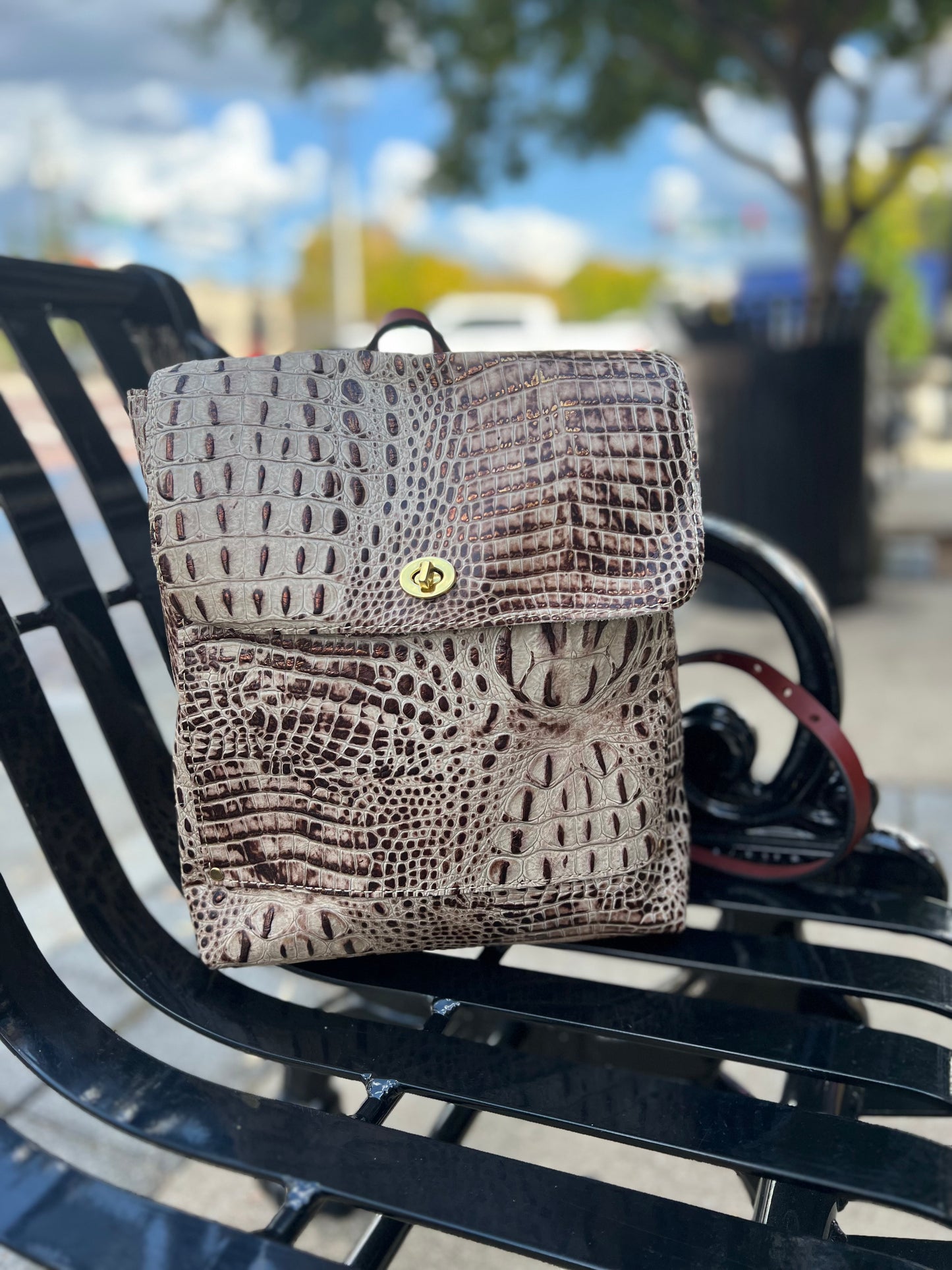 The Small Square Backpack