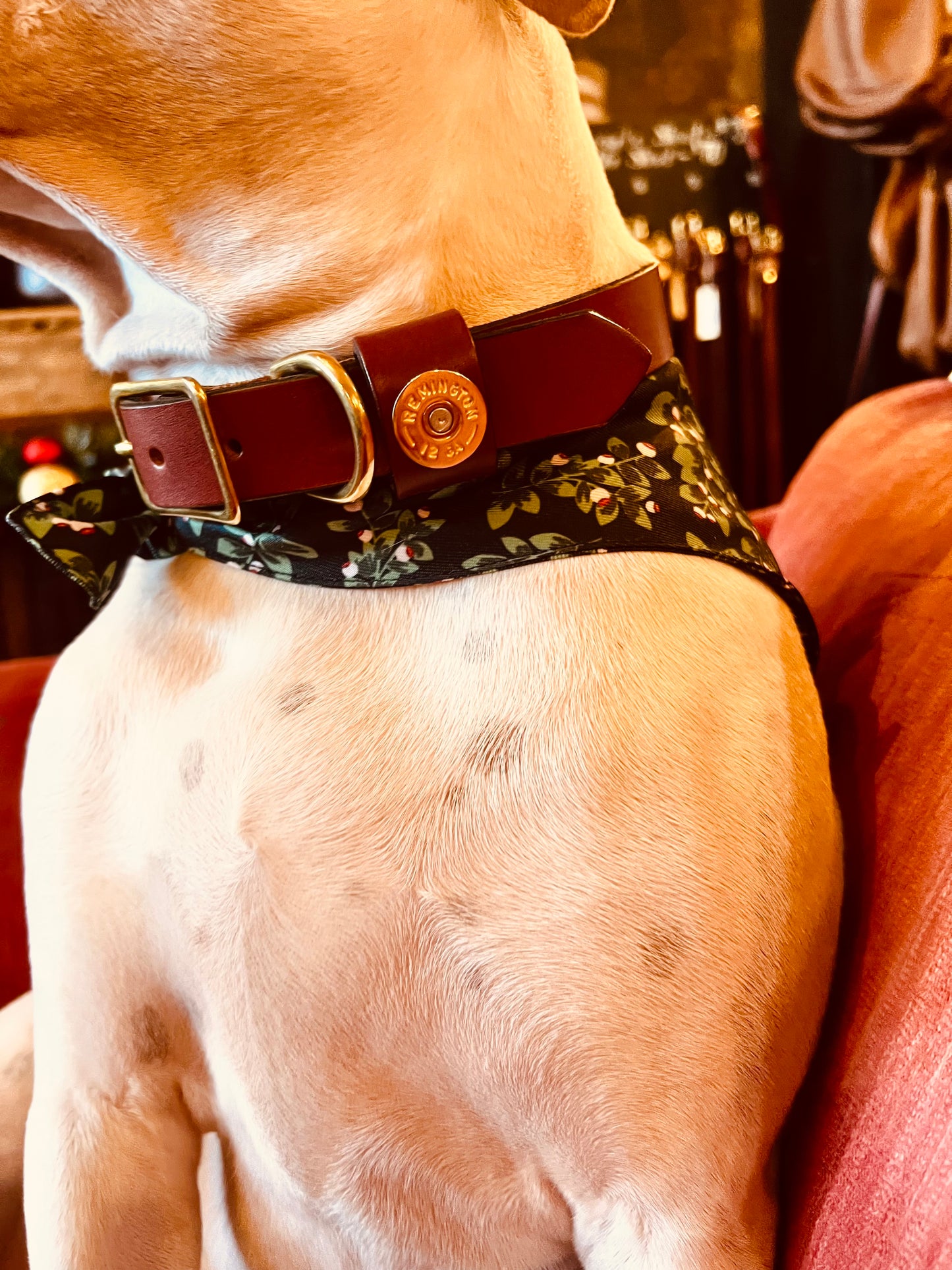 Leather Dog Collar