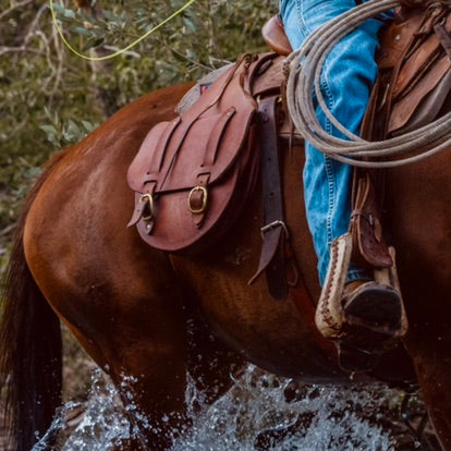 Double Saddle Bag