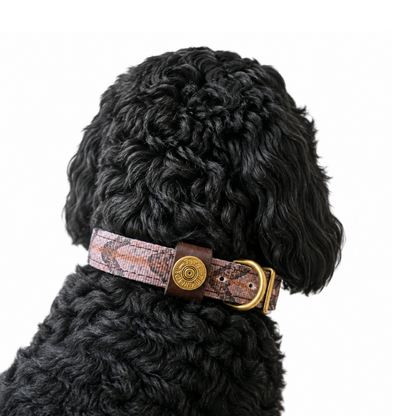 The Conservation Collection