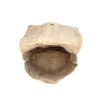 The Small Square Backpack